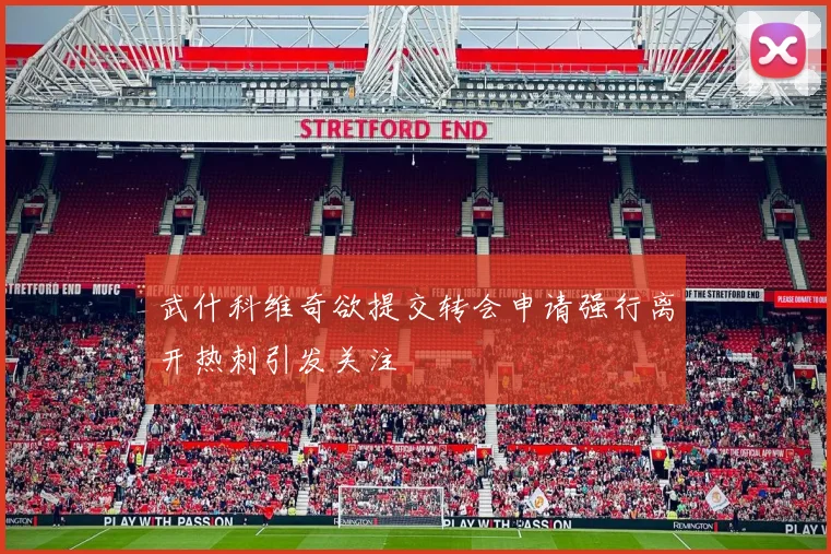 武什科维奇欲提交转会申请强行离开热刺引发关注
